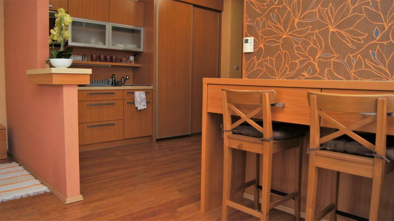 Apartment 202 タトランスカ・ ロムニツァ エクステリア 写真